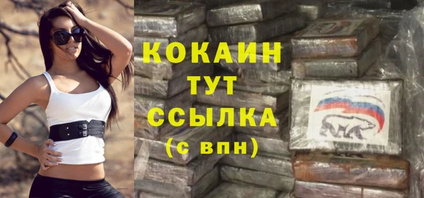 apvp Алексин